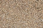 Briess: Torrified Wheat